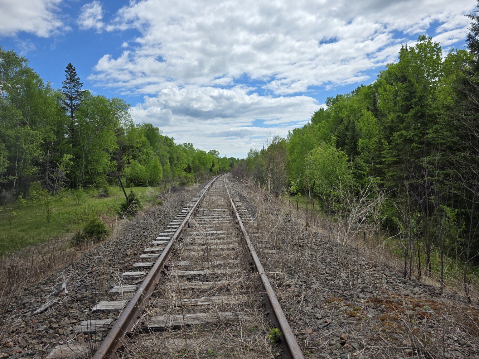 Old railroad tracks running through northern Minnesota forest